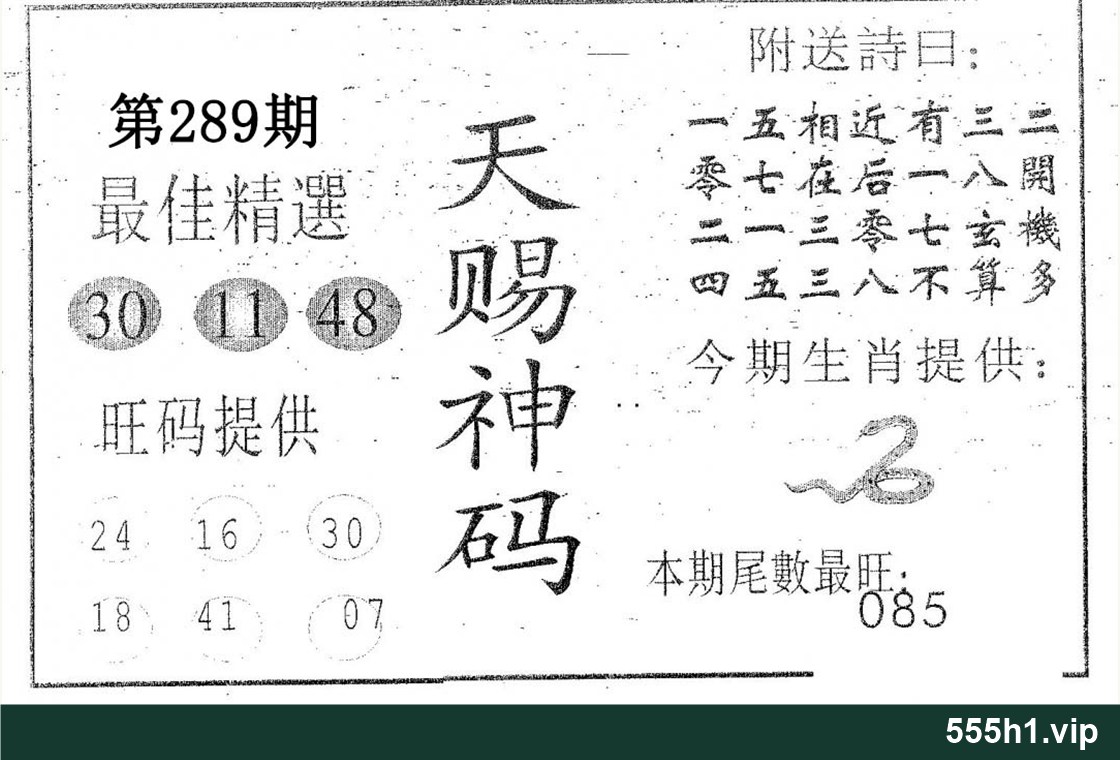 黑白图纸 · 天赐神码,标注 555h1.vip