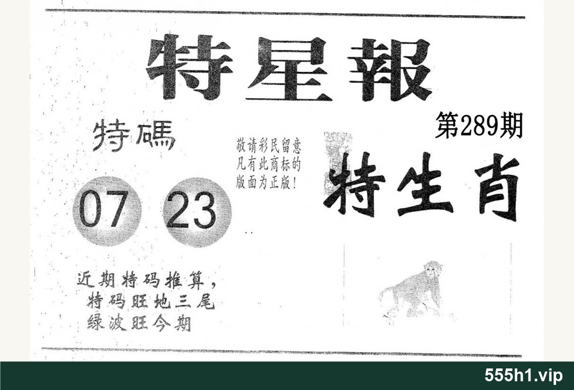 黑白图纸 · 特星报,标注 555h1.vip