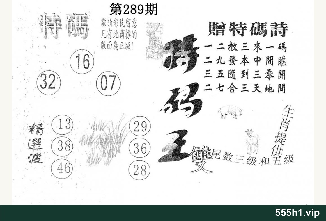 黑白图纸 · 特码王,标注 555h1.vip