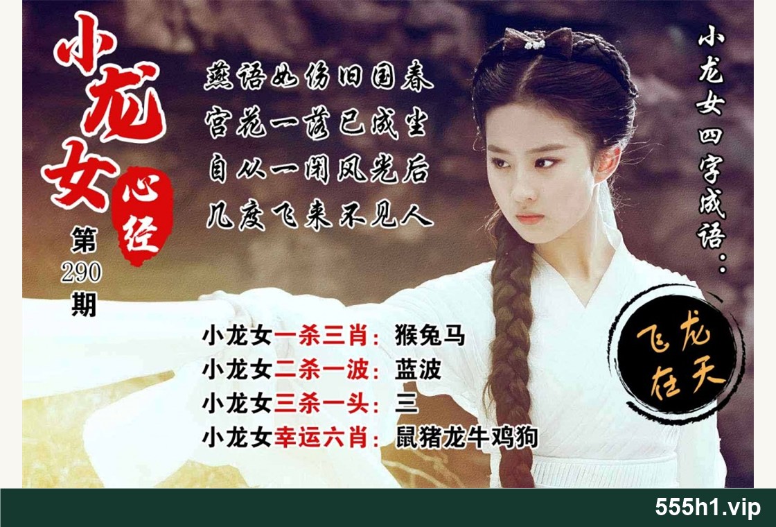 彩色图纸 · 小龙女心经,标注 555h1.vip